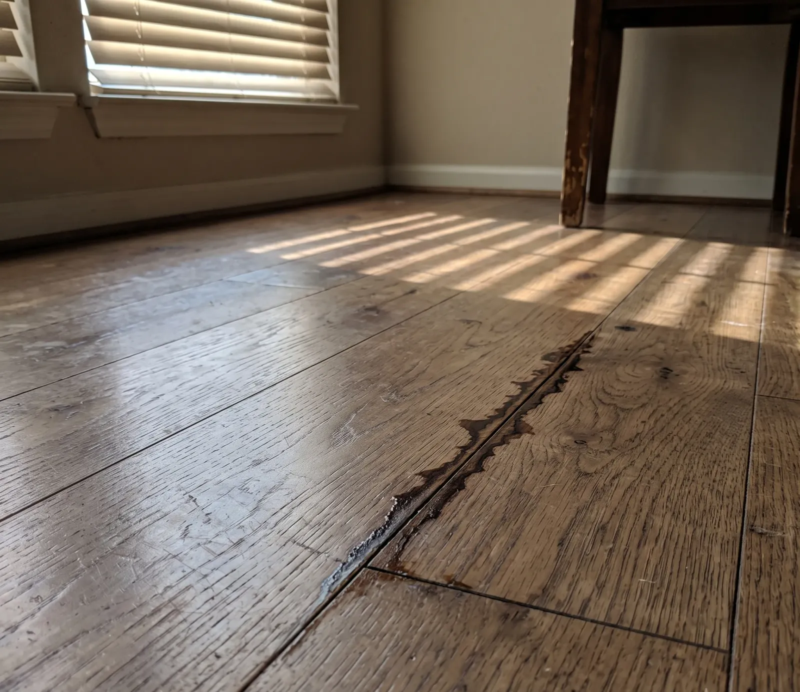 Hardwood Floor Water Extraction service in Tennessee
